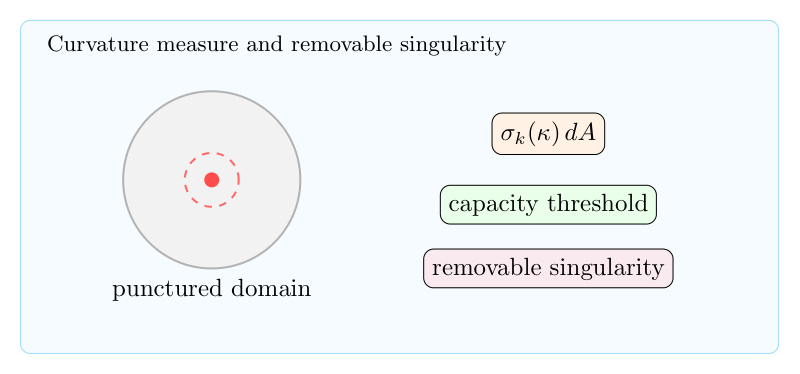 k-curvature 方程的 curvature measure 与可去奇点