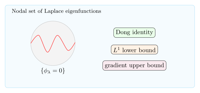 Laplace 特征函数的 nodal set：Dong identity 与 Hausdorff measure 下界